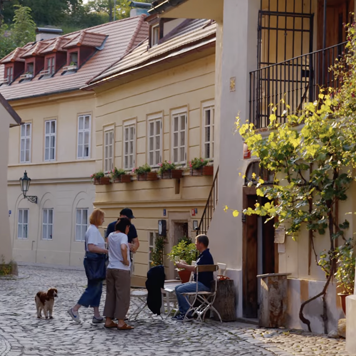 Novinky - Odpočítáváme poslední dny do Letní scény. Na co se letos chystáte?