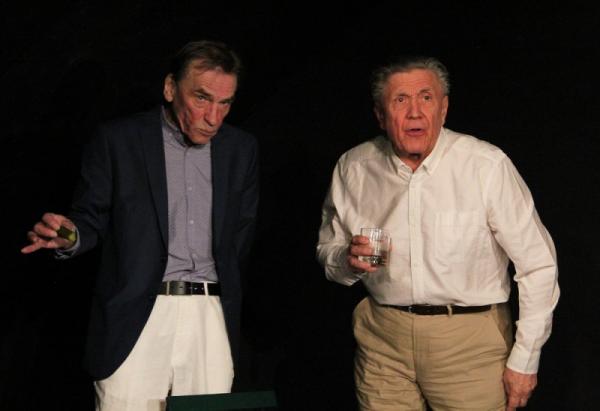 Pan Halpern a pan Johnson