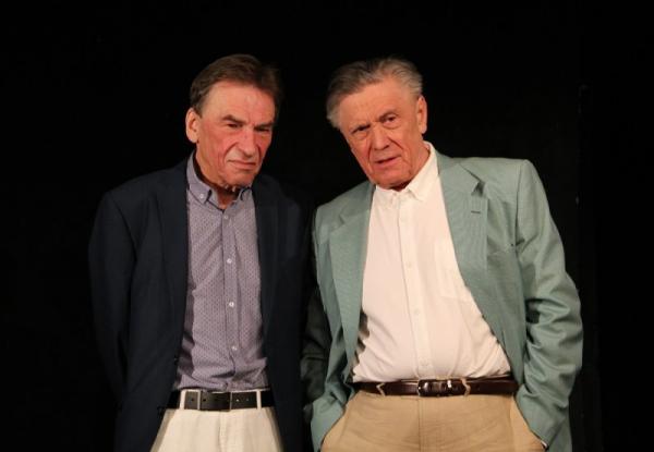 Pan Halpern a pan Johnson